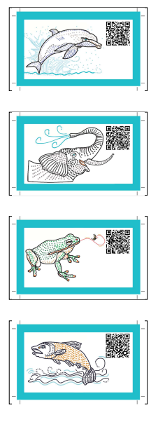 A qr code with a picture of an elephant and a frog Description
automatically
generated
