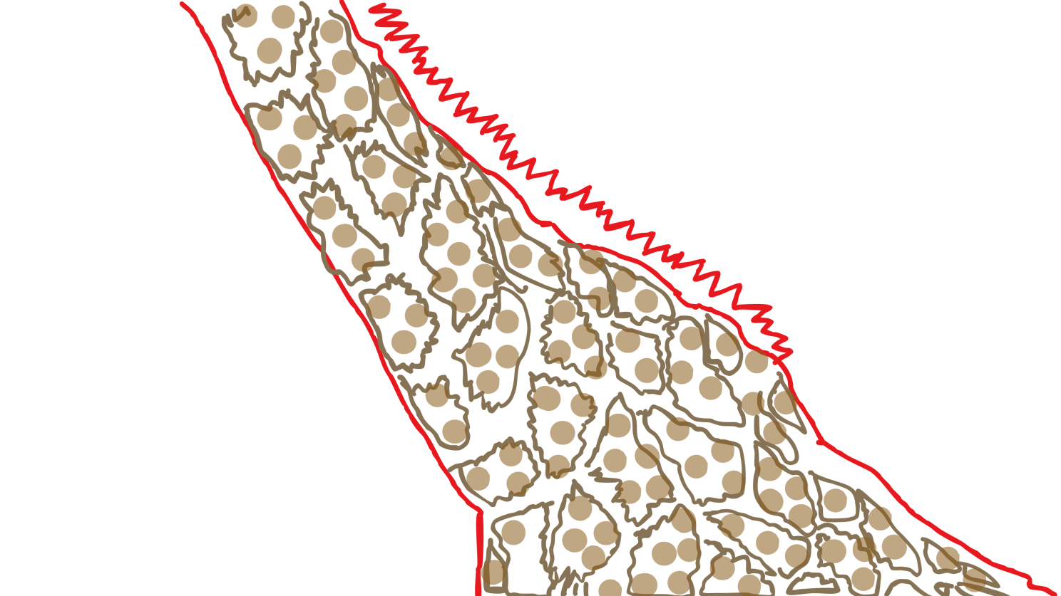 A giraffe with a red line Description automatically
generated